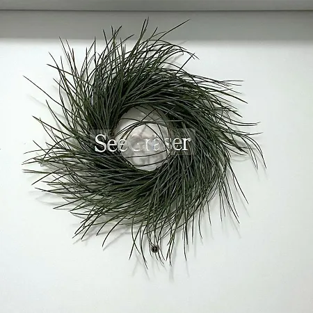 Seegraeser Granitz Apartment Sellin (Rugen)