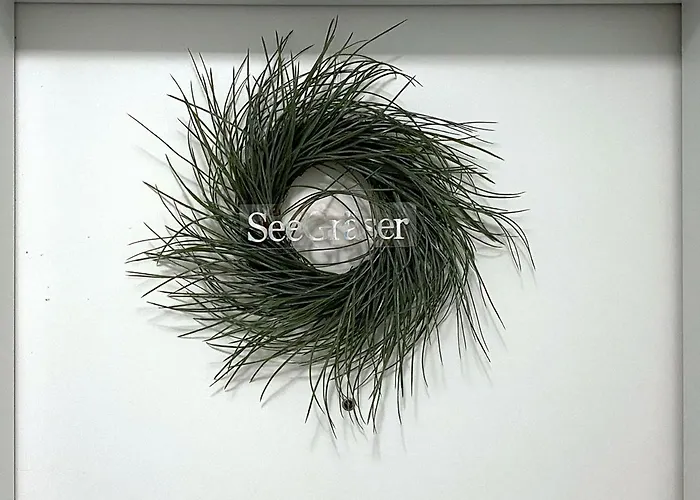 Seegraeser Granitz Apartment Sellin (Rugen)